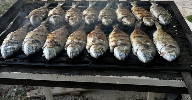 Samos Restaurant mangalda çipura levrek balık ızgara