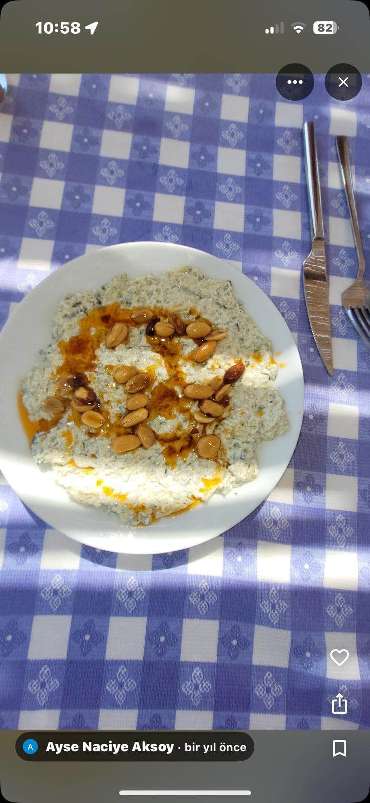 Ayse Naciye Aksoy — Samos haydari mezesi