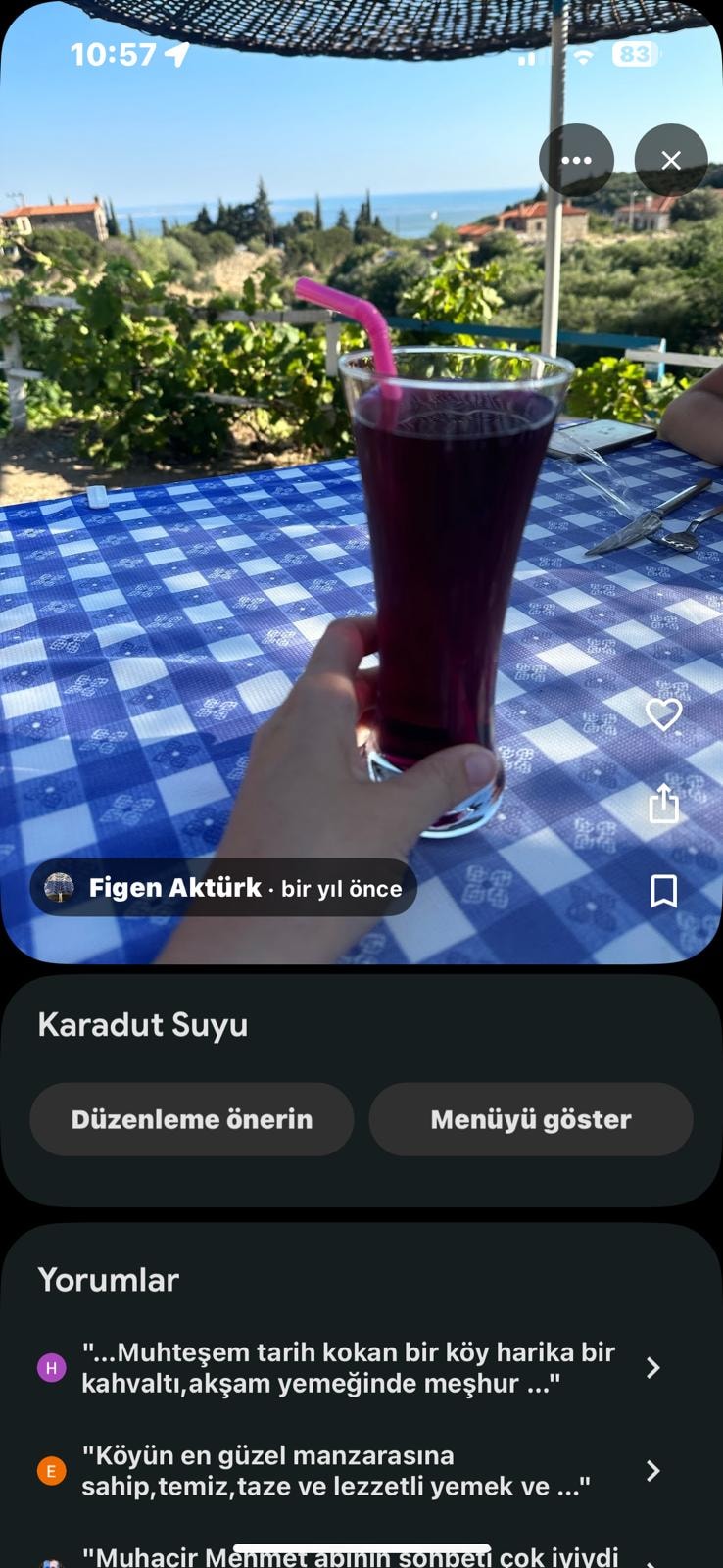 Figen Aktürk — Karadut suyu Samos terası